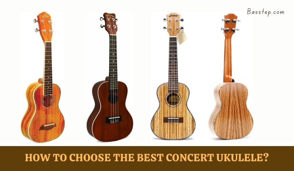 How to Choose the Best Concert Ukulele