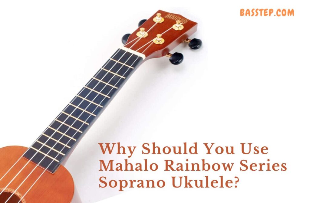 Why Should You Use Donner Concert Ukulele (1)